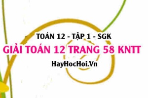 Giải Toán 12 trang 58 tập 1 Kết nối tri thức